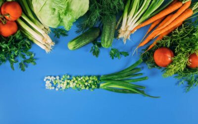 Semaine de la Dénutrition – Novembre 2025